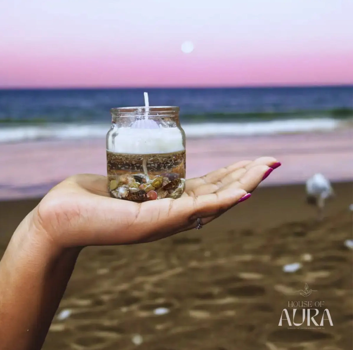 Seashell oasis candle