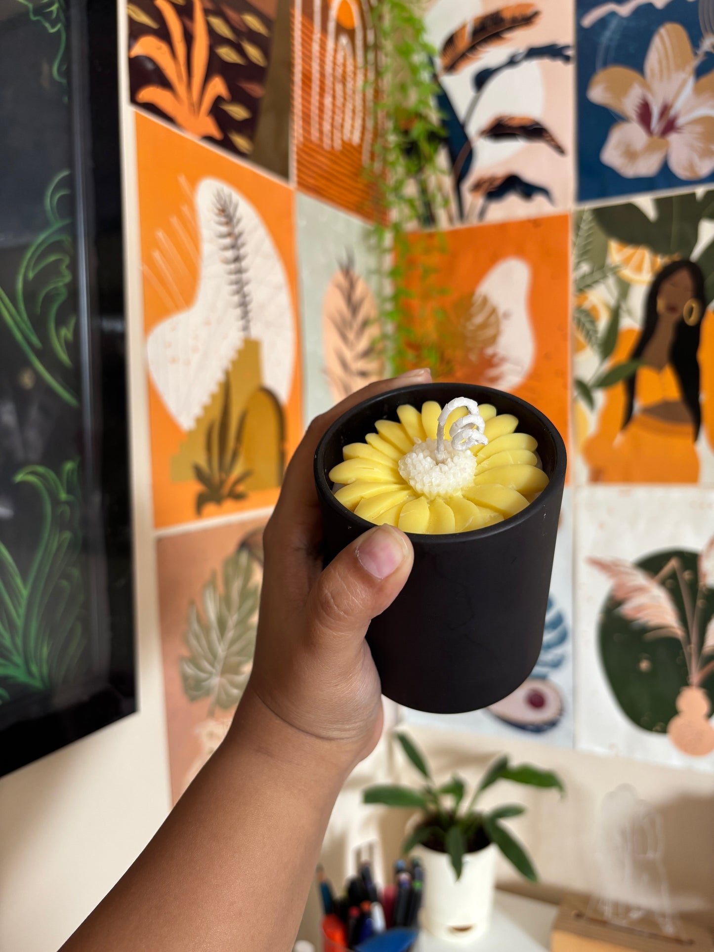 Sunflower in a black jar