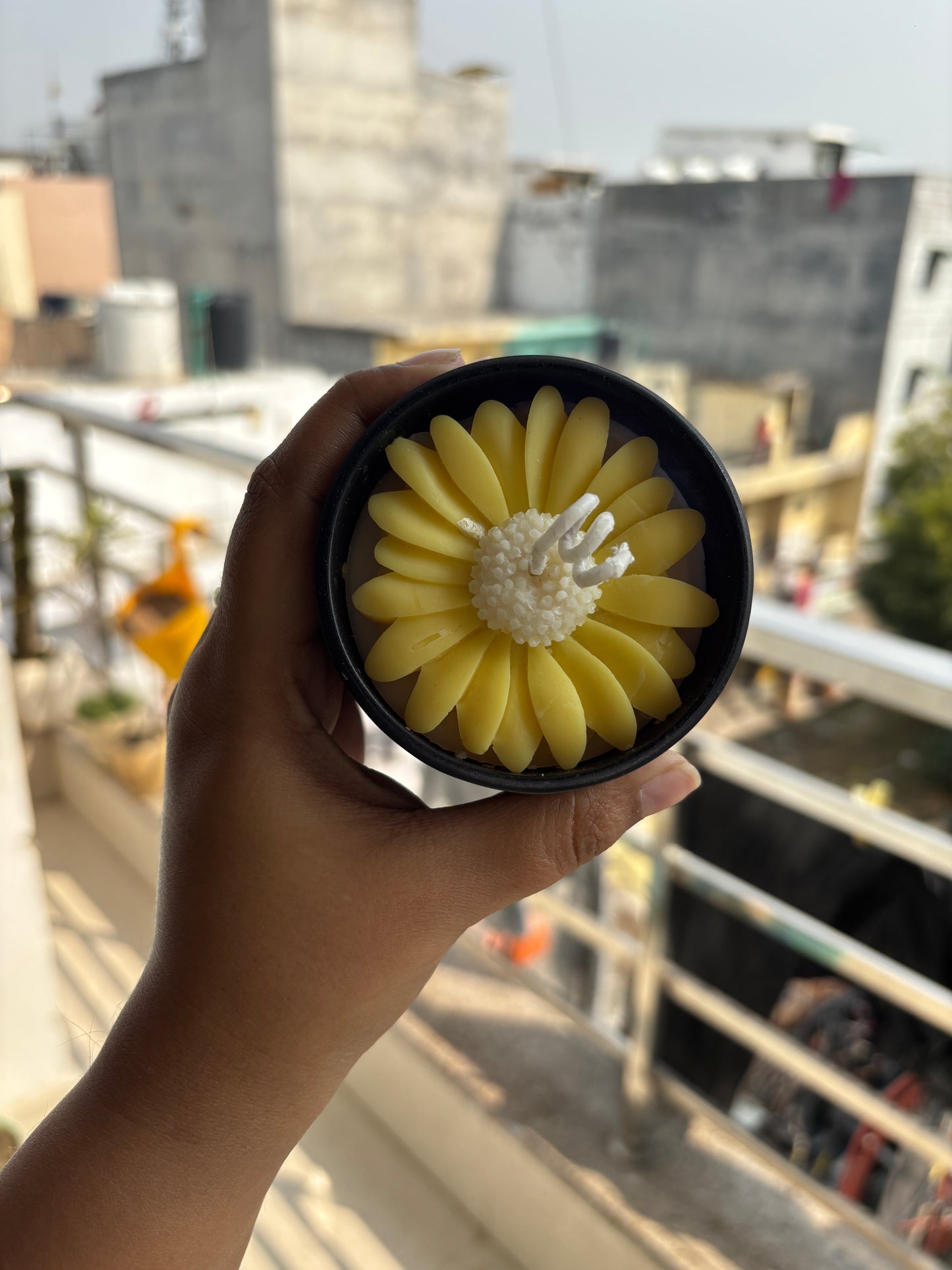 Sunflower in a black jar