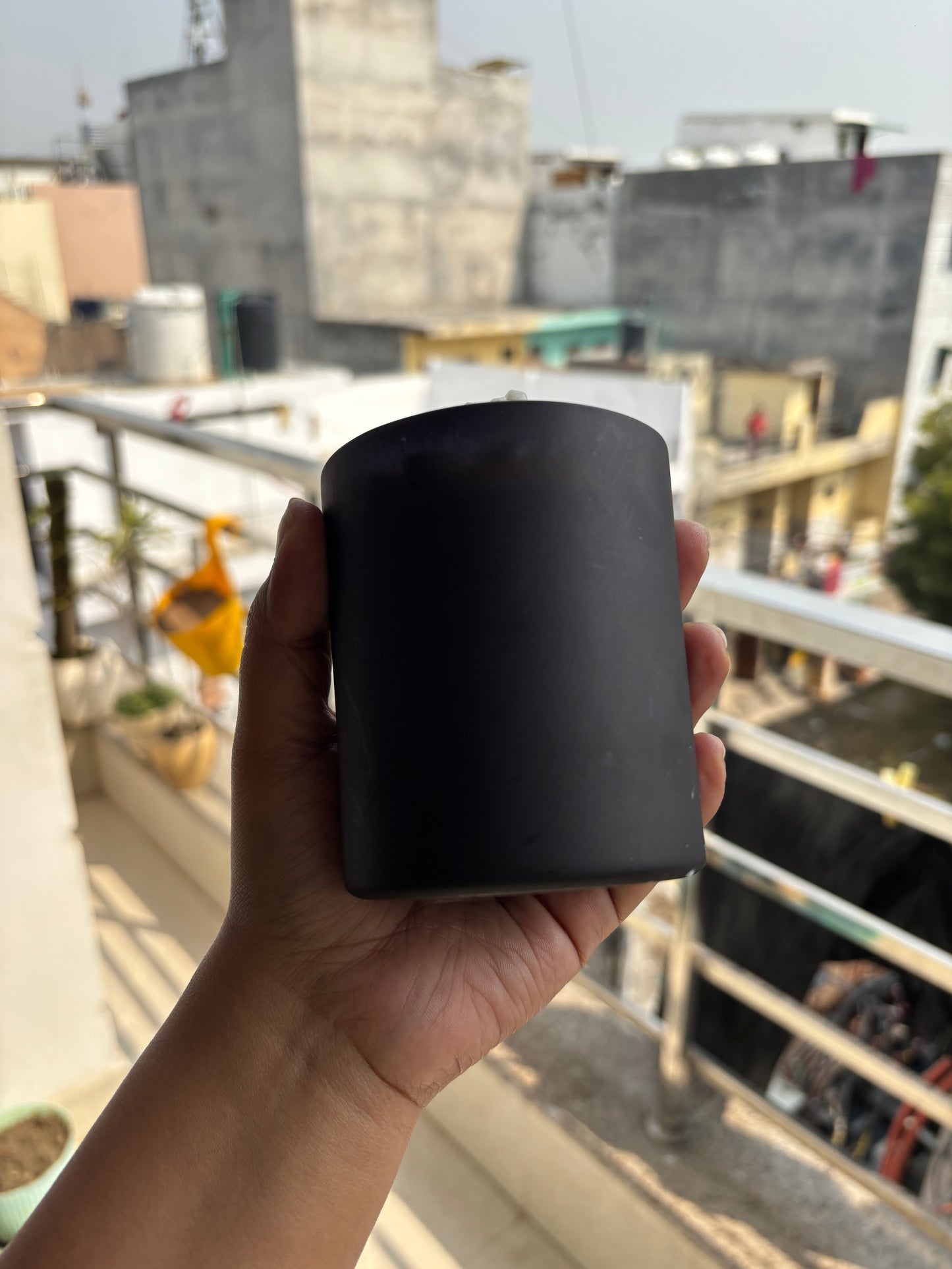 Sunflower in a black jar