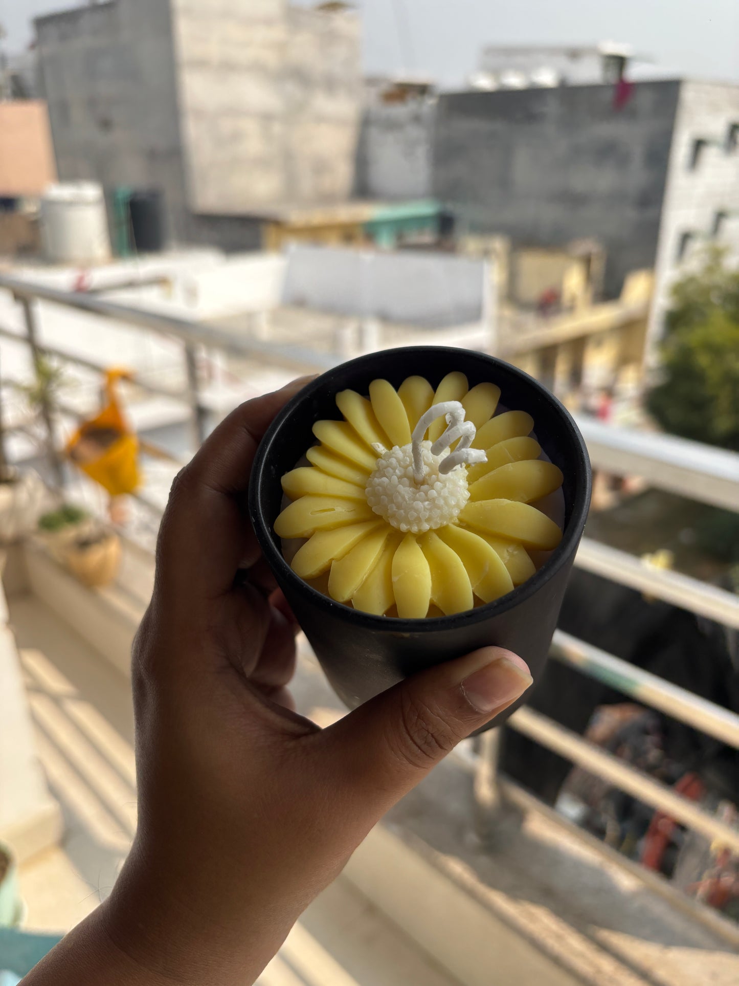 Sunflower in a black jar